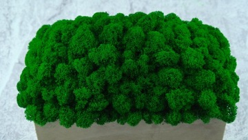 БЕТОННЫЙ ЦВЕТОЧНЫЙ ГОРШОК С МИКРОКЛИМАТОМ МХА