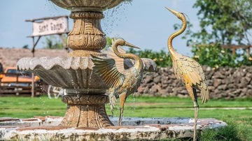 УНИКАЛЬНЫЕ МЕТАЛЛИЧЕСКИЕ КРАНЫ ДЛЯ УКРАШЕНИЯ САДА