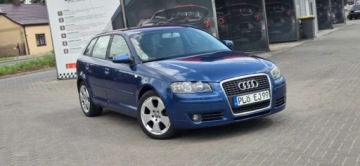 Audi A3 8P Hatchback 3d 1.9 TDI 105KM 2004 Audi A3 Sportback 1,9TDI 105 KM Alu Klima Import Raty Oplaty ASO 1.9, zdjęcie 19