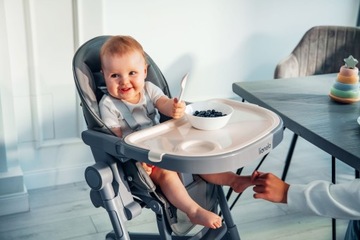 Стульчик для кормления + шезлонг 2в1 до 15кг, складной, мобильный Lionelo Cora