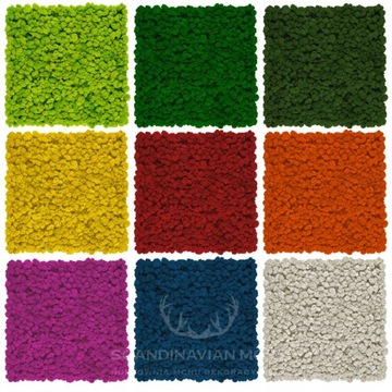 Mech Chrobotek Fiński Różowy Fuchsia 250g