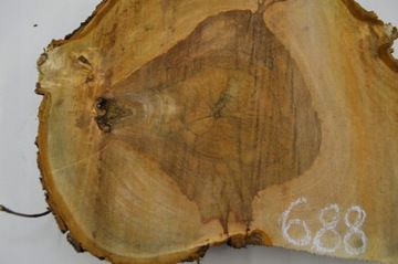 Кусочек каштана после сушки в помещении 58х48 см Поднос для доски