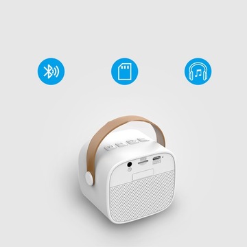 МИНИ-КОНИТОР BLUETOOTH ДЛЯ КАРАОКЕ + 2 БЕСПРОВОДНЫХ МИКРОФОНА ДЛЯ ДОМАШНЕЙ ВЕЧЕРИНКИ