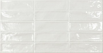 CEGIEŁKA POOL WHITE POŁYSK 31,6X60 ECOCERAMIC G.I