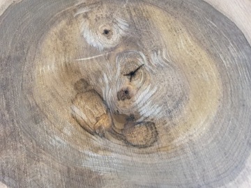 Орех Срез 57х55 Диски из пиломатериалов своими руками