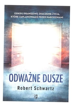 ODWAŻNE DUSZE W.2022, ROBERT SCHWARTZ