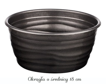 STROIK - Storczyk i chryzantema 110x60x25