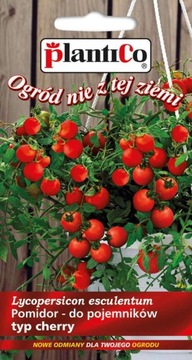 POMIDOR BAJAJA 0,2 g DONICZKOWY TYP CHERRY 'P