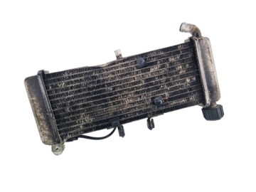 Aprilia RS4 125 COOLER