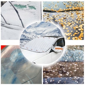 БОЛЬШОЙ МАГНИТНЫЙ КОВРИК, ПРОТИВ МОРОЗИЯ