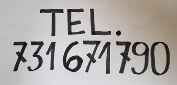 ОБИВКА БОКОВОЙ ДВЕРИ ESPACE 4 LIFT ЗАДНЯЯ РОЛЬСТАВНЯ