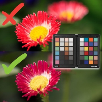 Таблица цветов Spyder Checkr Datacolor