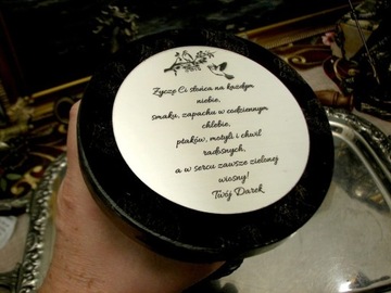 СОВА С ПЕРО НА КНИГАХ УЧИТЕЛЬ ВЕРОНЕЗЕ v