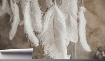 Фотообои ПЕРЬЯ ДЛЯ ГОСТИНОЙ 3D