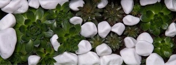 KAMIEŃ OZDOBNY OTOCZAK BIAŁY THASSOS GRECKI NATURALNY PIĘKNY 1-2 CM 25 KG