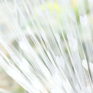 Дверная перегородка с кисточками