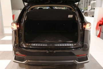 Lexus NX II 2021 Lexus NX 300h Optimum AWD 2.5 Benzyna 197KM, zdjęcie 20