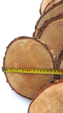 СРЕЗ ДЕРЕВА, ШТАМП БЕРЕЗА 18-22СМ, 1 ШТ.