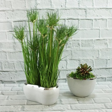 Белый керамический цветочный горшок от DEcodomi.