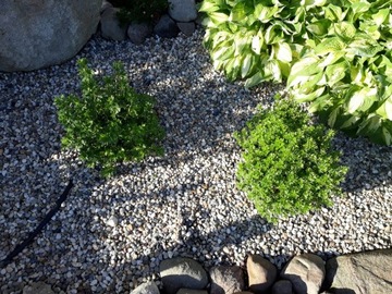 ŻWIR rzeczny WORKI 25 KG MIX biały brązowy 1 TONA