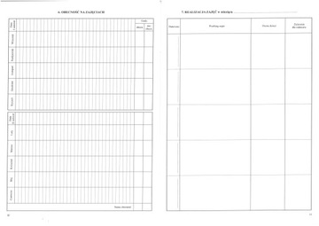 Журнал индивидуальной деятельности и организации ранней поддержки