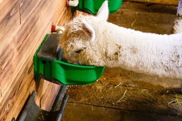 ПОДОГРЕВ ПОПЛАВКА ВОДЫ - С КЛАПАНОМ ДЛЯ КРС ЛОШАДЕЙ 73ВТ/230В ВЫСОКОЕ КАЧЕСТВО!