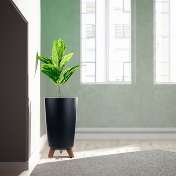 Высокий горшок Gracia на антрацитовых ногах Dgtl240