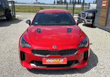 Kia Stinger Liftback 2.0 T-GDi 245KM 2019 Kia Stinger STINGER GT line 2.0 Benz 245 KM Salon PL Warszawa 2.0 245KM, zdjęcie 12