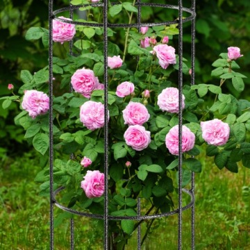 ПЕРГОЛА САДОВАЯ ОПОРА ДЛЯ РАСТЕНИЙ ЦВЕТЫ 100см