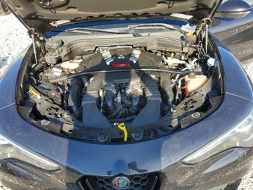 Alfa Romeo Stelvio 2018 Alfa Romeo Stelvio Quadrifoglio 2018 2.9 Benzyna 505KM, zdjęcie 6