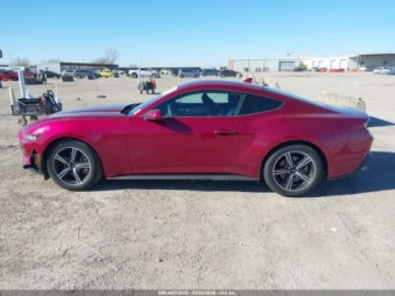 Ford Mustang VI 2025 Ford Mustang Ecoboost Fastback 2025 2.3 Benzyna 315KM, zdjęcie 2