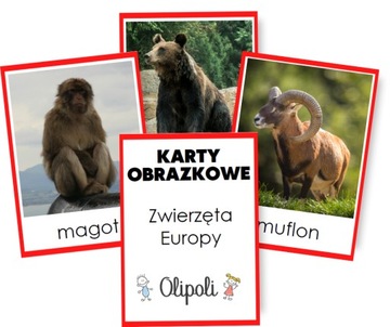KARTY OBRAZKOWE zwierzęta Europy Montessori 7x10cm REALNE ZDJĘCIA