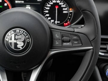 Alfa Romeo Giulia II Sedan 2.0 TBi 280KM 2019 Alfa Romeo Giulia GD389UT#2.0 Turbo Veloce Q4, zdjęcie 15