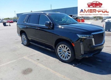 Cadillac Escalade III 2023 Cadillac Escalade Premium Luxury 2023 6.2l 6.2 Benzyna 420KM