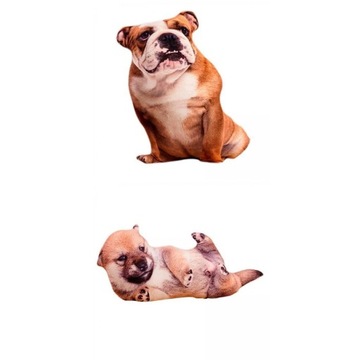 Poduszka do rzucania z nadrukiem 3D Cute Bend Dog