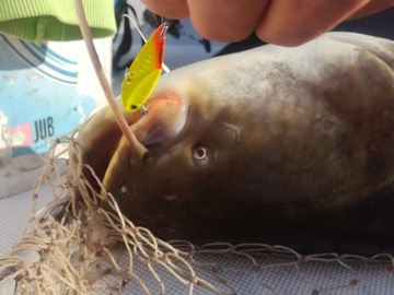 УНИВЕРСАЛЬНАЯ ЦИКАДА СПИНМАД Харт 9 г 0507