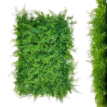 ZIELONA ŚCIANA PANEL ROŚLINNY OGRÓD WERTYKALNY FILODENDRON TUJA ŻYWOTNIK
