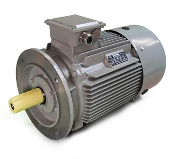 SILNIK ELEKTRYCZNY 3 FAZOWY 55kW 400V 1480obr B5