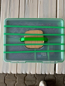 SPAX 5X50 ЗОЛОТЫЕ ВИНТЫ ДЛЯ НАСТОЙКИ, 850 ШТ.