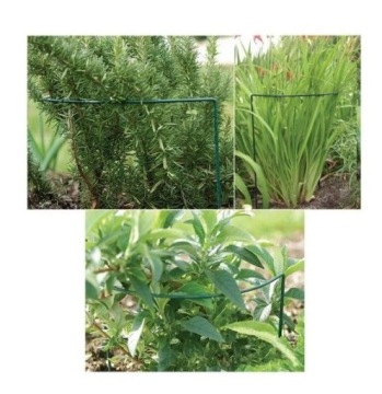 ПОДДЕРЖКА ДЛЯ ЦВЕТОЧНЫХ РАСТЕНИЙ ПЕРГОЛА