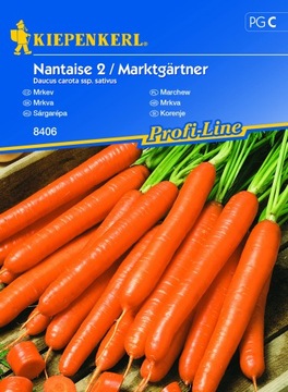 Marchew Nantaise 2/Marktgärtner nasiona Kiepenkerl