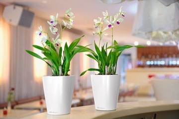 Мини-горшок Deltini белый глянец Lechuza