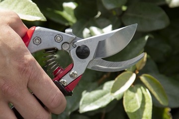 ЕВРОФЛОРА ARS VS-8XR ПРЕДОХРАНИТЕЛЬ