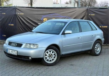 Audi A3 8L Hatchback 1.6 i 102KM 2000