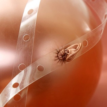 ЛЕНТА ДЛЯ ШАРОВ-ГИРЛАНД АРКИ ДЛЯ ШАРНЫХ ШАРОВ РАМА ДЛЯ ШАРОВ 5М ДЕНЬ РОЖДЕНИЯ