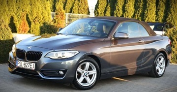 BMW Seria 2 F22-F23-F45-F46 Cabrio 220d 190KM 2015 BMW Seria 2 (nR. ) 2.0 d 190 KM Autoamt Navi Kamera Klima Tempomat Gwara, zdjęcie 10