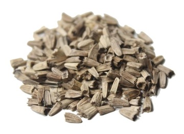 Jeżówka purpurowa - nasiona - 10g