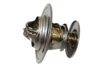 TERMOSTAT 160032610