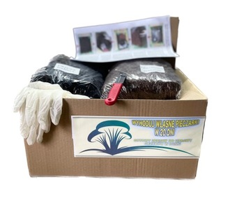 НАБОР ГРИБНАЯ ТАЙНА XXXL 30 КГ ДОМАШНЕЕ ВЫРАЩИВАНИЕ