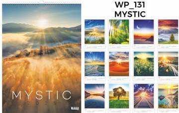 МУЛЬТИДОСОЧНЫЙ КАЛЕНДАРЬ 2025 БОЛЬШАЯ СТЕНА 13 ДОСОК КОФЕ